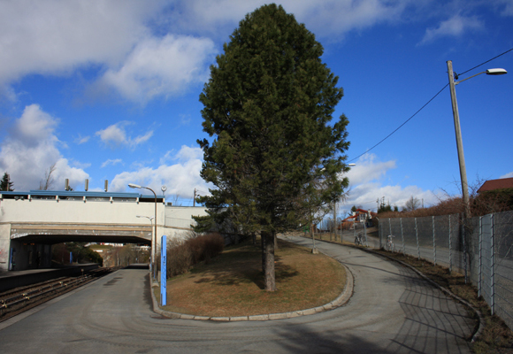 Flott, åpent og passe grønt. Men nedslitt. Foto: SN.