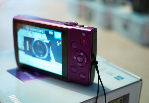 Slik ser det ut. En av Elfie sine slektninger i 265-familien. Foto: Kārlis Dambrāns.