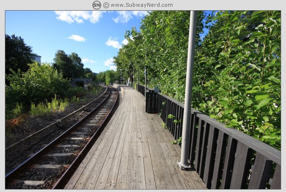 Spor 1. I frodige og grønne omgivelser. I billedretning mot Steinerud. Foto: SN.